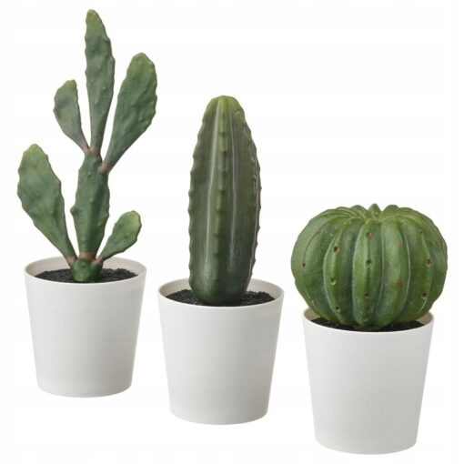 IKEA FEJKA SZTUCZNA ROŚLINA KAKTUS KOMPLET 3 SZT.