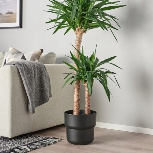 IKEA FORENLIG OSŁONKA DONICZKI CZARNA 24 CM - obrazek 2