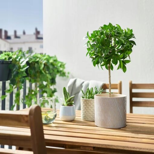 IKEA CHIAFRON OSŁONKA DONICZKI SZARA 12 CM - obrazek 2