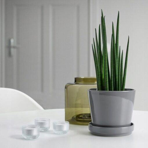 IKEA CITRUSFRUKT DONICZKA Z PODSTAWKĄ SZARA 12 CM - obrazek 2