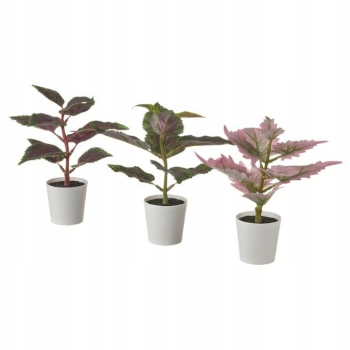 IKEA FEJKA SZTUCZNA ROŚLINA SOLENOSTEMON - 3 SZT.