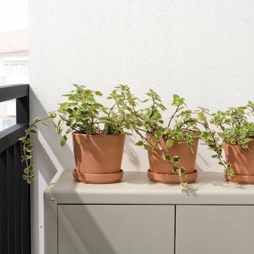 IKEA BRUNBAR DONICZKA Z PODSTAWKĄ TERAKOTA 15 CM - obrazek 2
