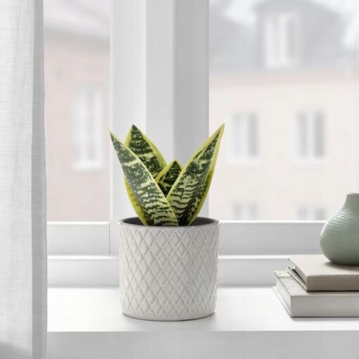 IKEA FEJKA SZTUCZNA ROŚLINA DONICZKOWA SANSEVERIA - obrazek 2