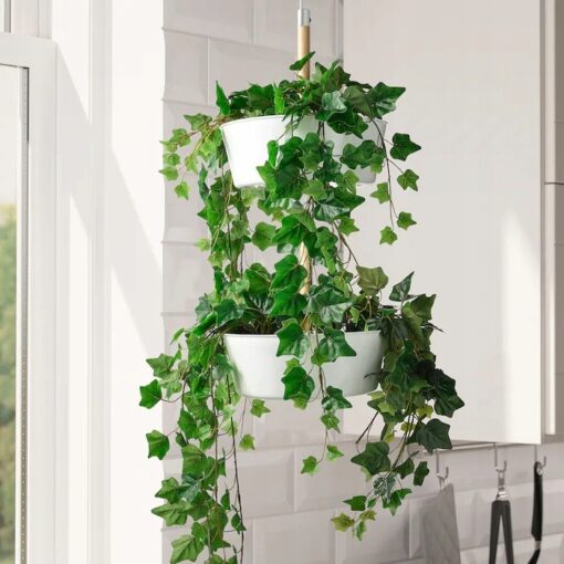 IKEA FEJKA SZTUCZNA ROŚLINA BLUSZCZ WISZĄCY 12 CM - obrazek 2