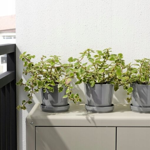 IKEA CITRUSFRUKT DONICZKA Z PODSTAWKĄ SZARA 12 CM - obrazek 3