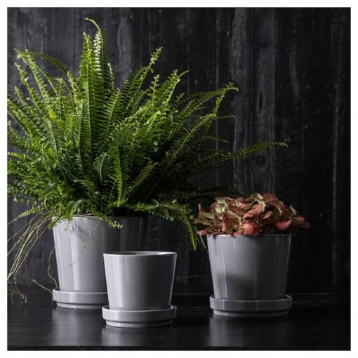 IKEA CITRUSFRUKT DONICZKA Z PODSTAWKĄ SZARA 9 CM - obrazek 3