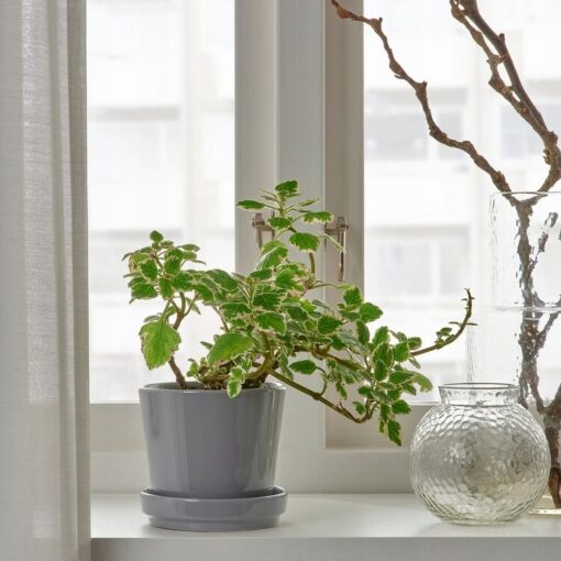 IKEA CITRUSFRUKT DONICZKA Z PODSTAWKĄ SZARA 9 CM - obrazek 4