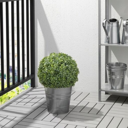 IKEA FEJKA SZTUCZNA ROŚLINA BUKSZPAN 35 CM - obrazek 4