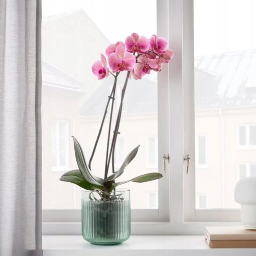 IKEA GRADVIS OSŁONKA DONICZKI ZIELONA 12 CM - obrazek 5