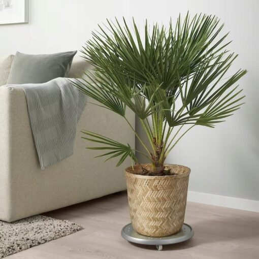 IKEA KLYNNON OSŁONKA DONICZKI BAMBUSOWA 24 CM - obrazek 3