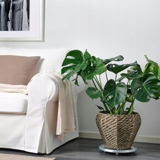 IKEA DRUVFLADER OSŁONKA DONICZKI NATURALNA 24 CM - obrazek 3