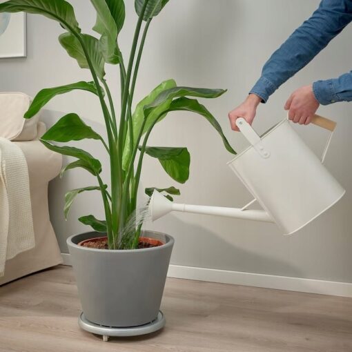 IKEA SALLADSKAL KONEWKA KREMOWA ZEW / WEW 9 L - obrazek 2
