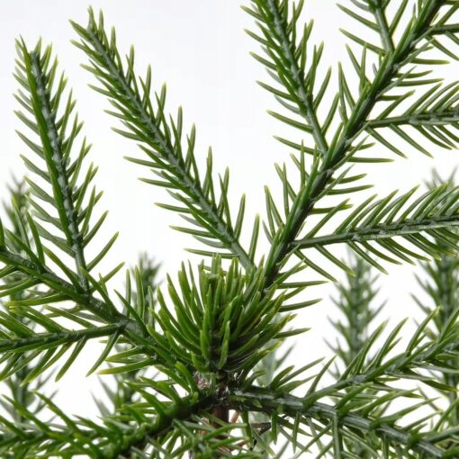 IKEA FEJKA SZTUCZNA ROŚLINA DONICZK. SOSNA NORFOLK - obrazek 4