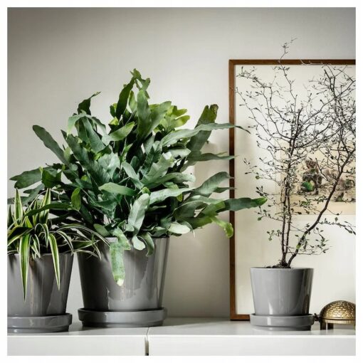 IKEA CITRUSFRUKT DONICZKA Z PODSTAWKĄ SZARA 9 CM - obrazek 2
