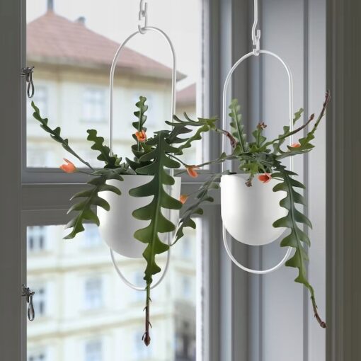 IKEA FEJKA SZTUCZNA ROŚLINA DONICZKOWA EPIFYLLUM - obrazek 2