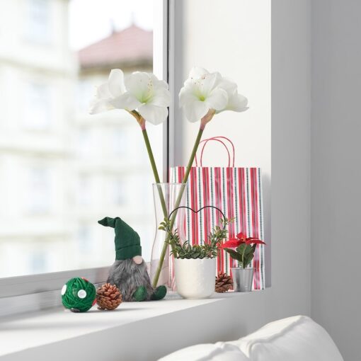 IKEA VINTERFINT SZTUCZNY KWIAT - AMARYLIS BIAŁY - 60 CM - obrazek 2