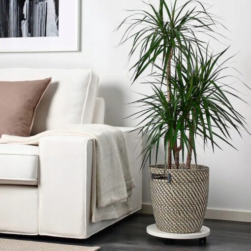 IKEA RAGKORN OSŁONKA DONICZKI 24 cm - obrazek 3