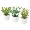 IKEA FARGKLAR TALERZ CIEMNY SZARY MAT 30x18CM 4SZT