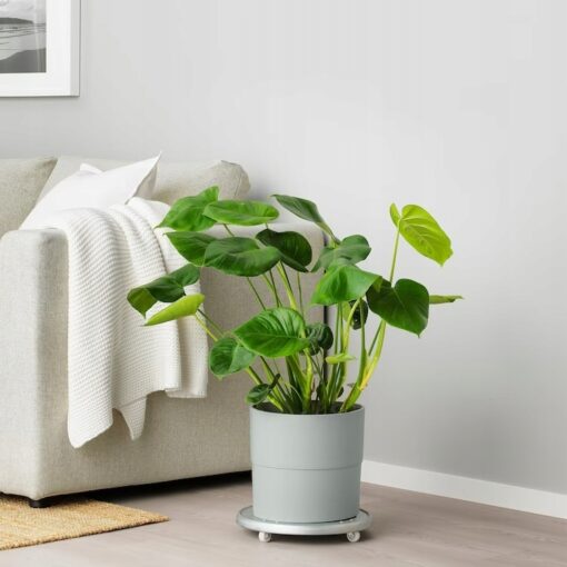 IKEA NYPON OSŁONKA DONICZKI SZARA 24 CM - obrazek 2