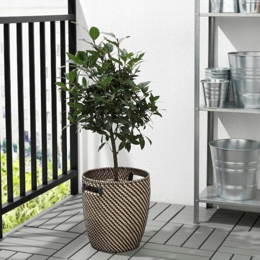IKEA RAGKORN OSŁONKA DONICZKI 24 cm - obrazek 2