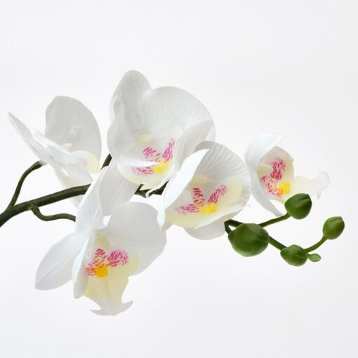 IKEA FEJKA SZTUCZNA ROŚLINA DONICZKOWA ORCHIDEA - obrazek 3