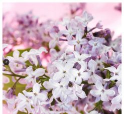 0eb2c3b1745131094708b6b75e72d89f